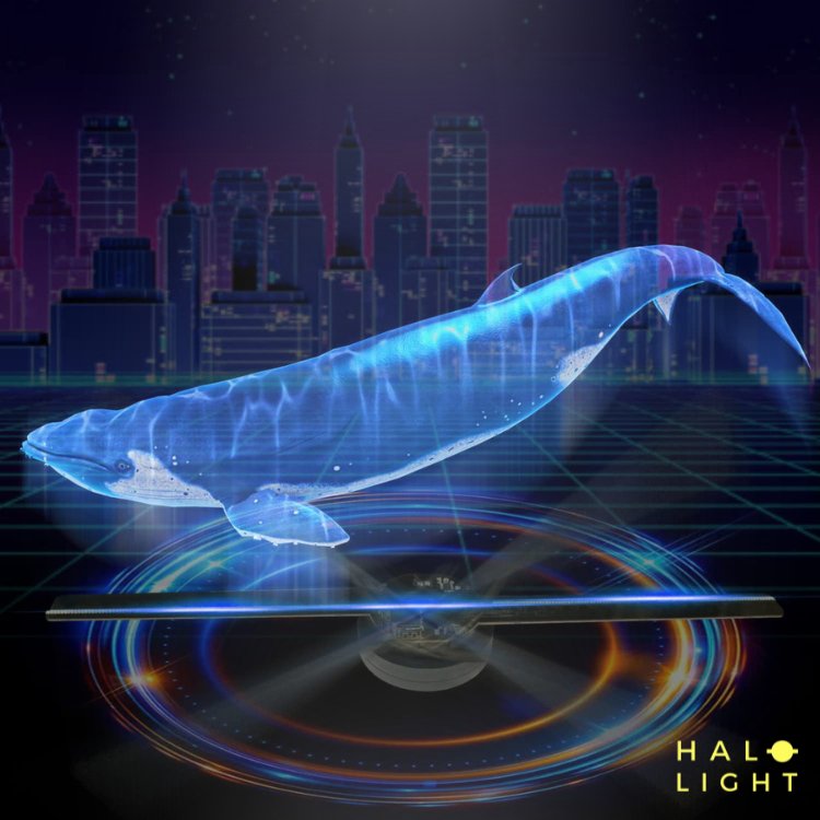 Projecteur HolographiqueHalolight